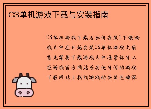 CS单机游戏下载与安装指南